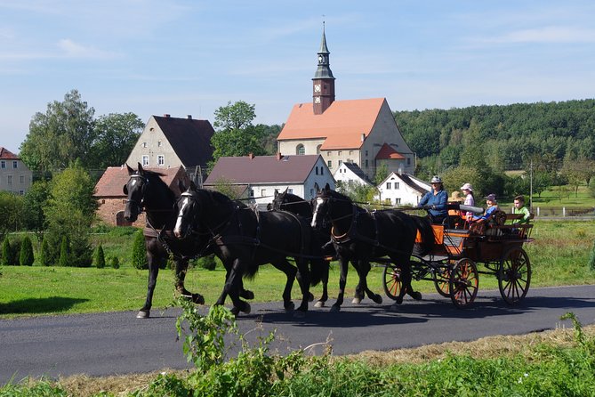Horse and Carriage Tours With Polish Traditional Food Experience - Horse and Carriage Experience