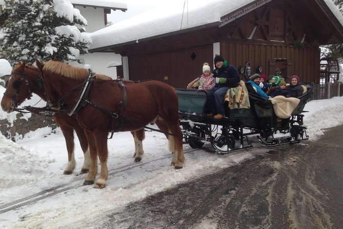 Horse Carriage Tour of Garmisch-Partenkirchen - Support and Inquiries