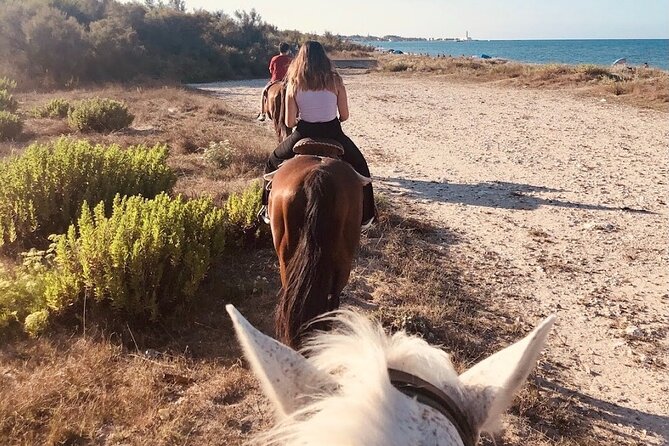 Horse Ride in a Salento Nature Reserve With Transfer From Lecce - Operator Details