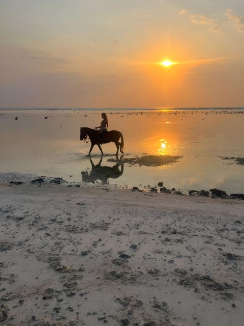 Horse Ride On The Beach on Gili Island - Gili Islands Exploration