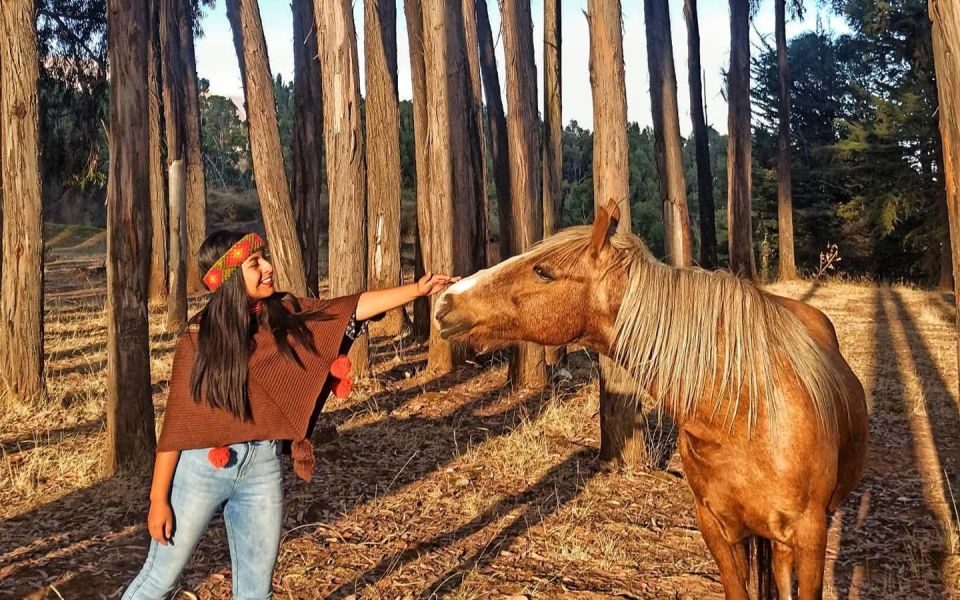 Horse Ride Through Sacsayhuaman, Qenqo and Eucalyptus Forest - Inclusions