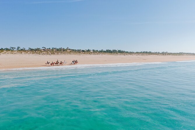 Horse Riding on the Beach With Private Transfer From Lisbon - Private Transfer and Hotel Pickup