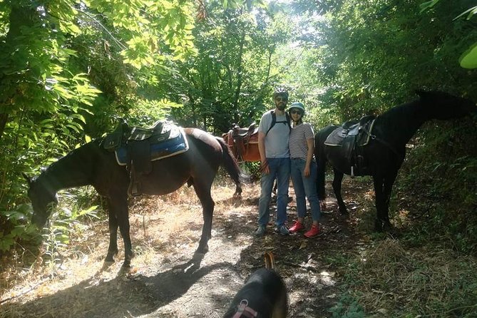Horse Riding on Vesuvius - Participant Guidelines and Requirements