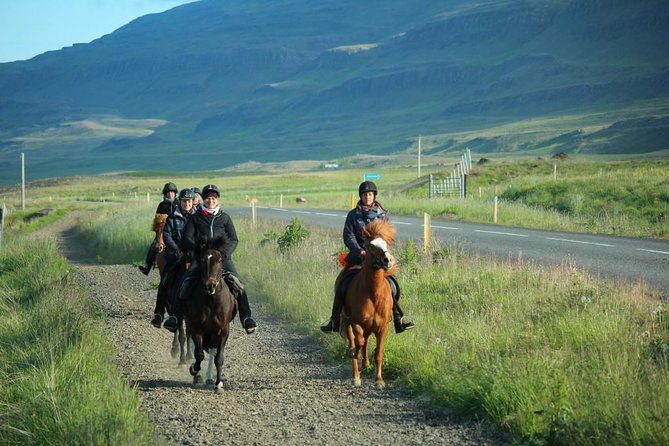 Horse Riding Tour to the Glacier River Delta With Waterfall - Important Information