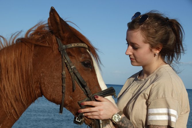 Horse Riding Tour Two Hours Sun & Sea With Transfer - Hurghada - Tour Expectations and Guidelines