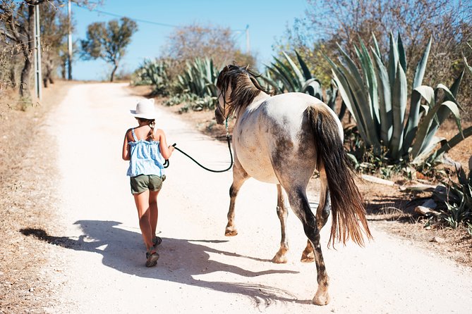 Horse Sanctuary: a Nature Walk With Rescued Horses by Your Side - Cancellation Policy and Weather Considerations