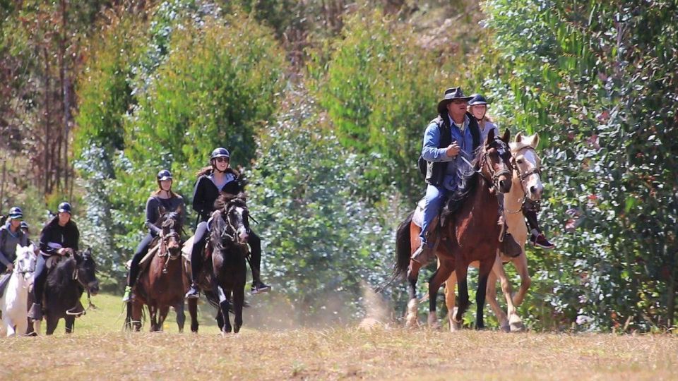 Horseback Ride to the Temple of the Moon and Chacan Mountain - Activity Highlights