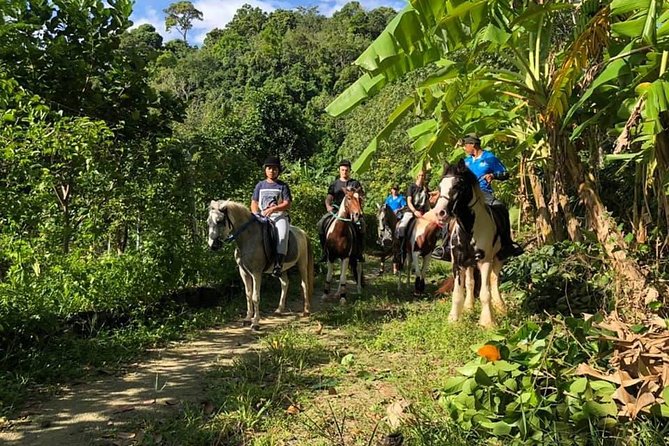 Horseback Riding 1 Hour Trail - Safety Guidelines