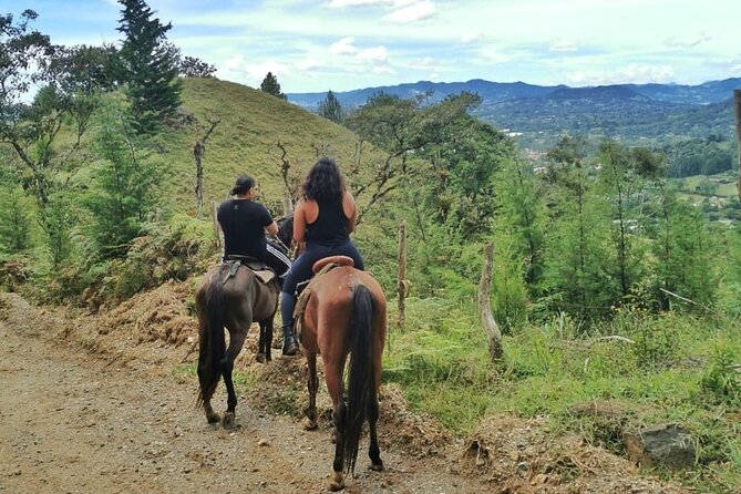 Horseback Riding and ATVs Tour: Two Experiences – One Remarkable Adventure - Private Guide Insights and Stories