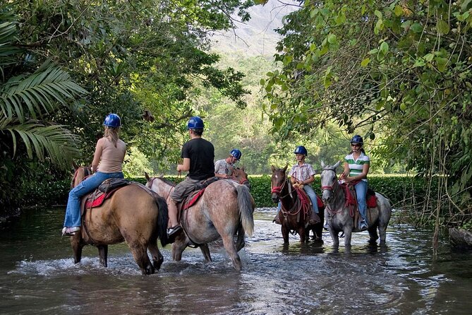 Horseback Riding Around Arenal Volcano Base - Review Sources and Details