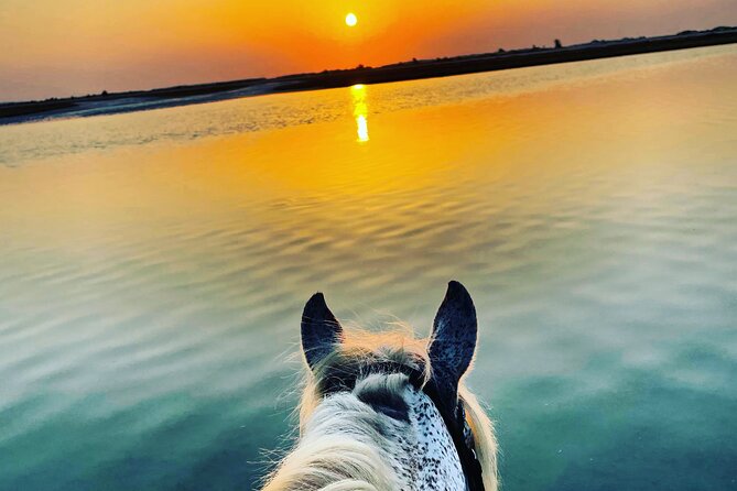 Horseback Riding at Sunrise 3h - Traveler Reviews