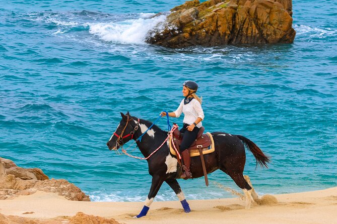 Horseback Riding Beach and Desert in Cabo by Cactus Tours Park - Additional Information