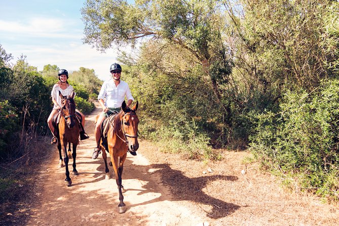 Horseback Riding in Bodrum - Visuals and Testimonials