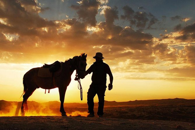 Horseback Riding in Dubai Desert - Traveler Engagement