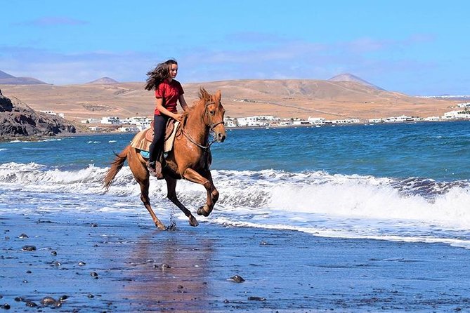 Horseback Riding in the Sunset of Famara Beach, Lanzarote, Spain - Expectations & Requirements
