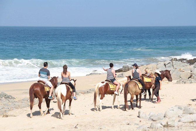 Horseback Riding on The Beach and Through The Desert! - Logistics and Meeting Point