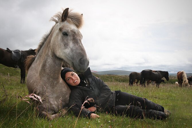 Horseback Riding Tour in Iceland - Customer Reviews