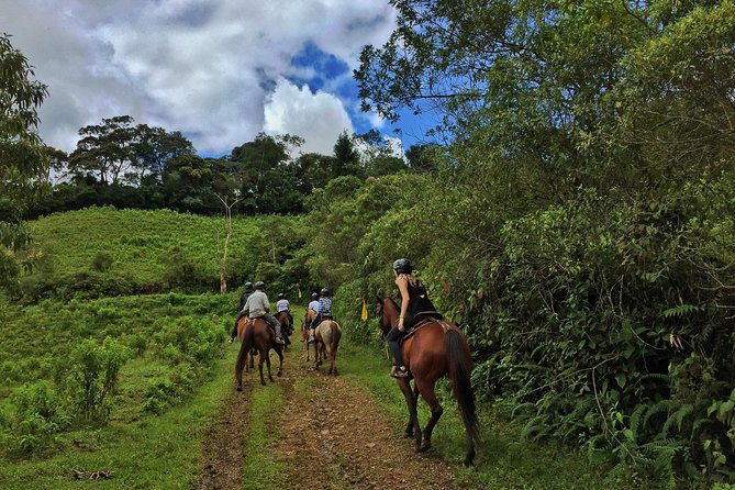 Horseback Riding Tour to Waterfall and Mountain From Medellin  - Medellín - Meeting Point and Time