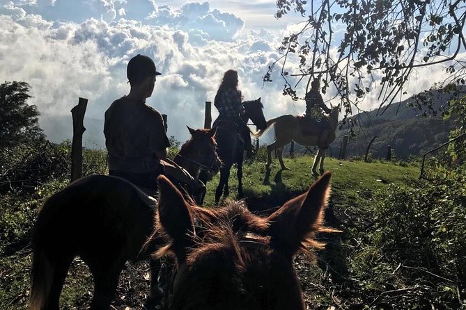 Horseback Trail Ride & Heritage Ranch Visit, Antigua - Duration and Inclusions