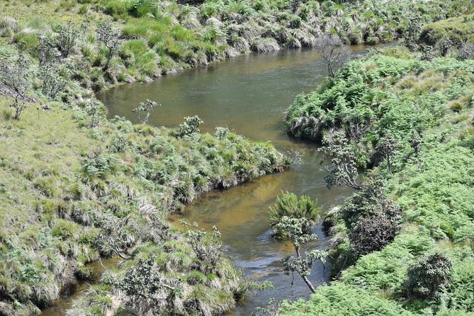 Horton Plains National Park Entrance Ticket - Practical Information and Location Details