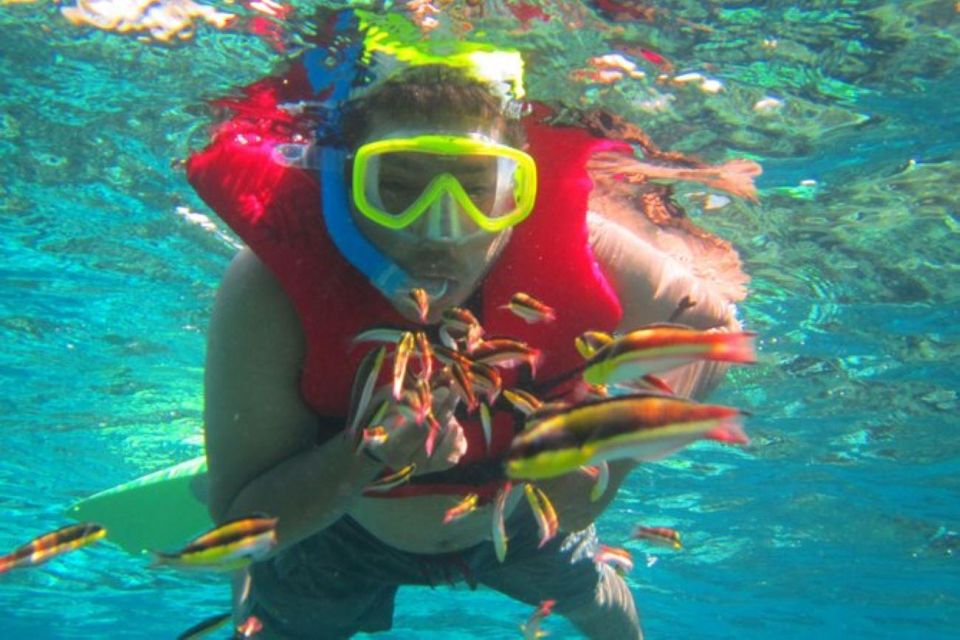 Huatulco: Premium Family Snorkeling Experience - Activity Highlights