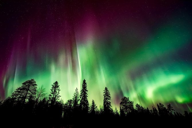 Hunt for the Northern Lights in Kiruna - Abisko - Tips for Northern Lights Photography