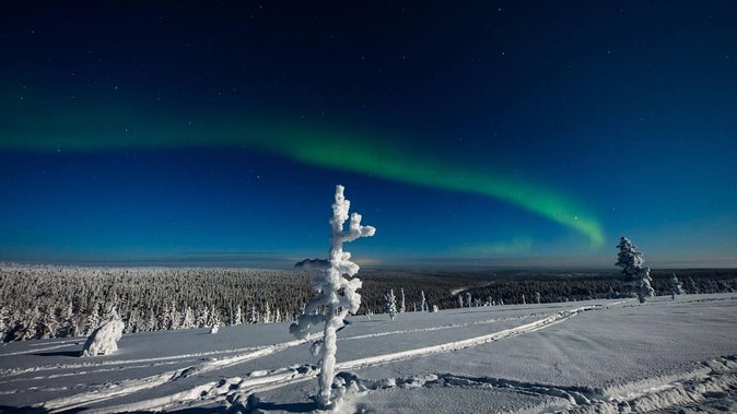 Hunting Northern Lights With Husky - Tour Details and Inclusions
