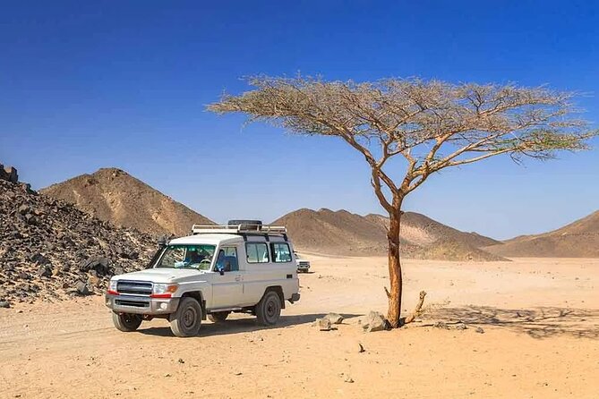 Hurghada: Safari Camel Ride, Dinner & Star Watching - Pricing Details