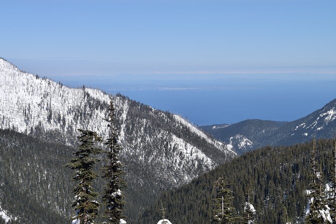 Hurricane Ridge Guided Snowshoe Tour in Olympic National Park - Customer Reviews and Ratings