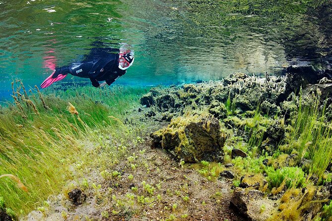 Húsavík: Bubbling Sands Snorkeling Tour - Booking Information