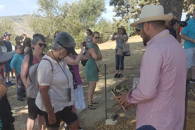 I Tour With the Archaeologist: Group Visit at Sunset to the Valley of the Temples - Visitor Reviews and Experiences