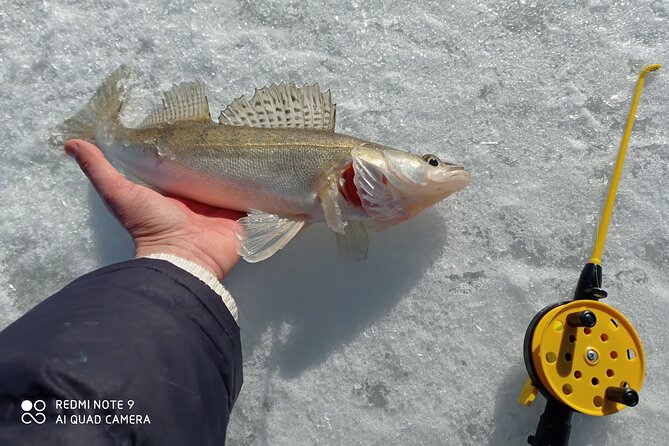 Ice Fishing Experience With Backpacker Helsinki Tour - Traveler Reviews and Ratings