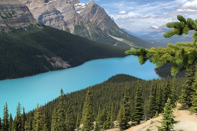 Icefields Pkwy: Lake Louise Bow Lake Peyto Lake Glacier - PRIVATE DAY TOUR - Discover the Athabasca Glacier