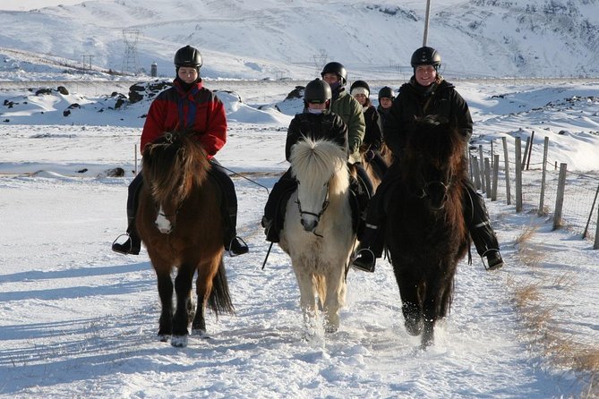 Iceland Tour With Horseback Riding - Booking Information