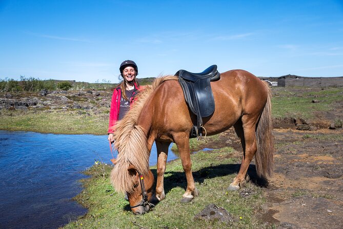 Icelandic Horse Riding and Whale Watching Tour From Reykjavik - Customer Feedback
