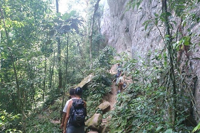 Ilha Grande: Pico Do Papagaio - Private Hike - Sunrise or Daytime - Wildlife Spotting Opportunities