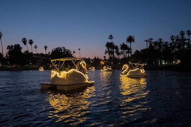 Illuminated Swan Boat Night Ride on Rainbow Lagoon - Important Information and Tips