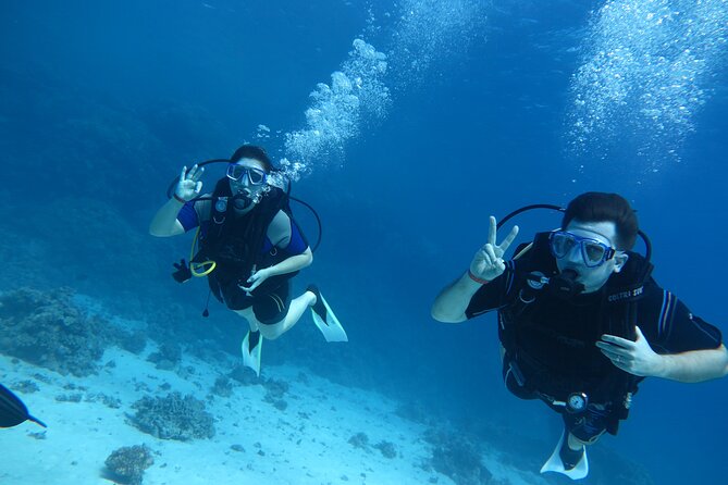 Intro Diving 2 Stops for Beginners With Pick-Up and Lunch - Hurghada - Issues and Resolutions