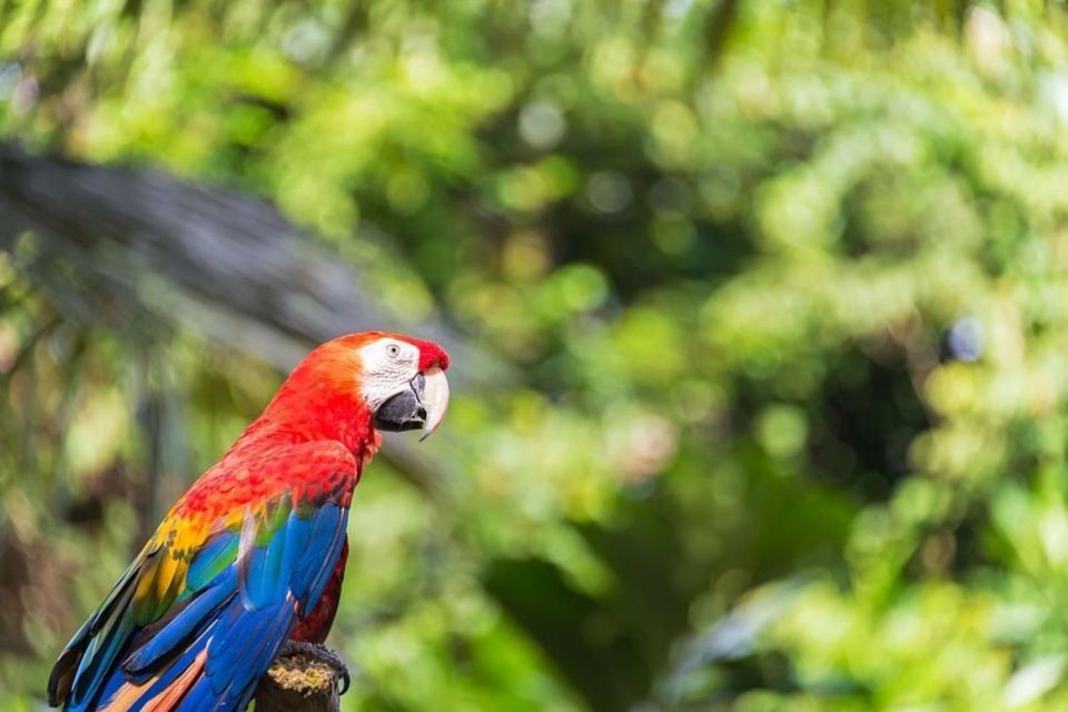 Iquitos: Amazon Adventure 4-Day: Nature and Culture - Highlights of the Adventure