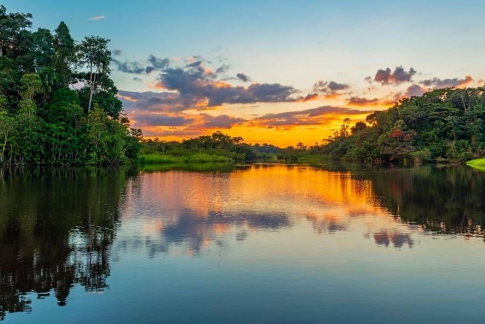 Iquitos: Amazon Jungle in 2 Days: Adventure and Expedition - River Adventures and Dolphin Encounters