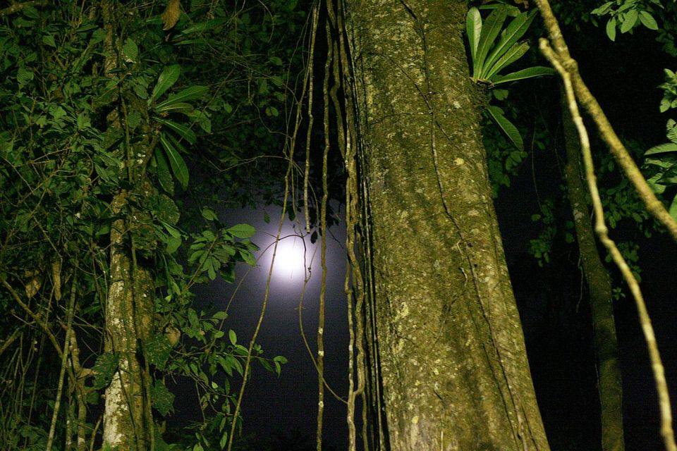 Iquitos: Incredible 4-Day Amazon Tour - Wildlife Encounters