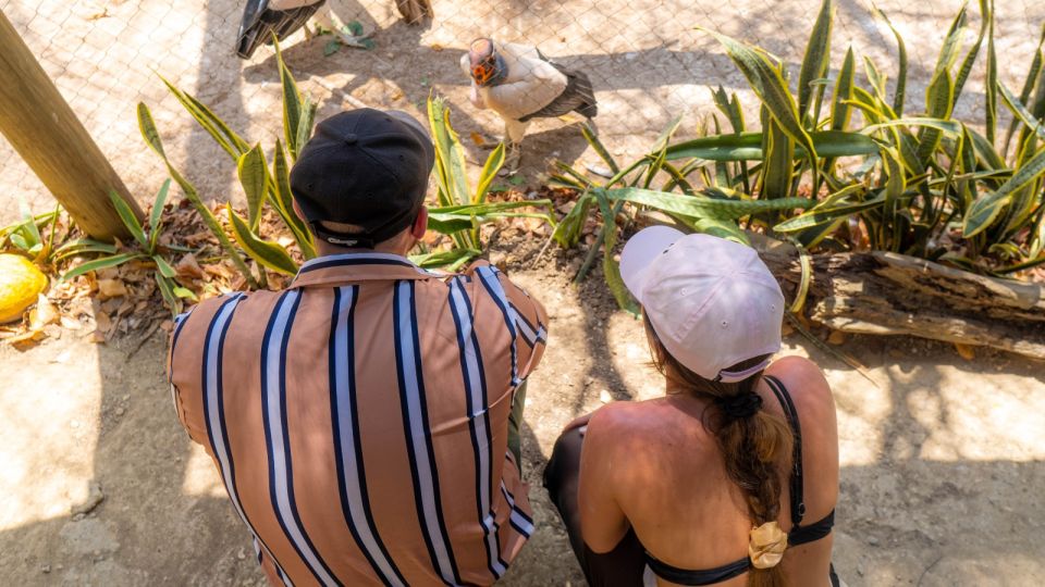 Isla Barú: Beach Club Access and Tour of the National Aviary - Full Description