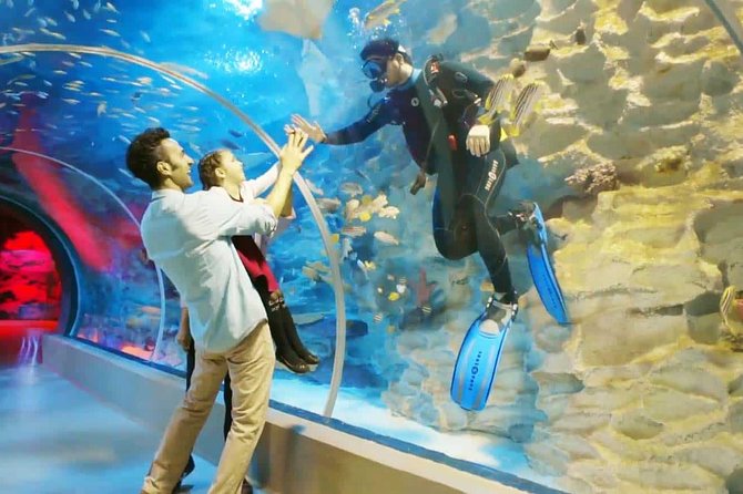 Istanbul Aquarium and Aqua Florya Independent Shopping Trip - Cancellation Policy Details