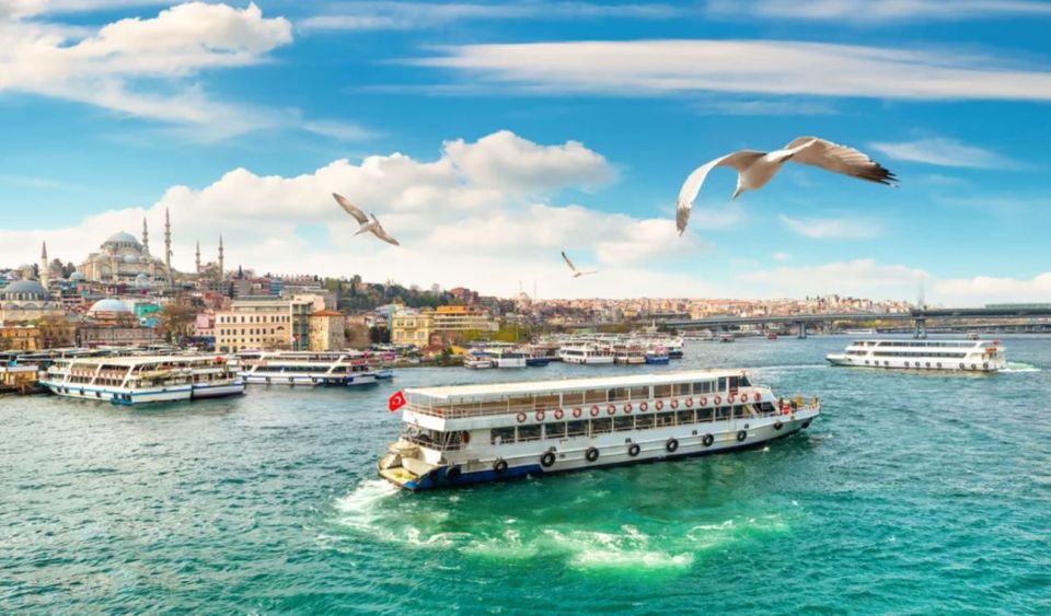 Istanbul: Basilica Cistern, Bosphorus Cruise, & Hagia Sophia - Important Participant Information