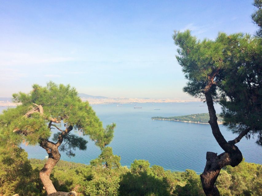 Istanbul: Day Trip to the Princes' Islands - Review Summary