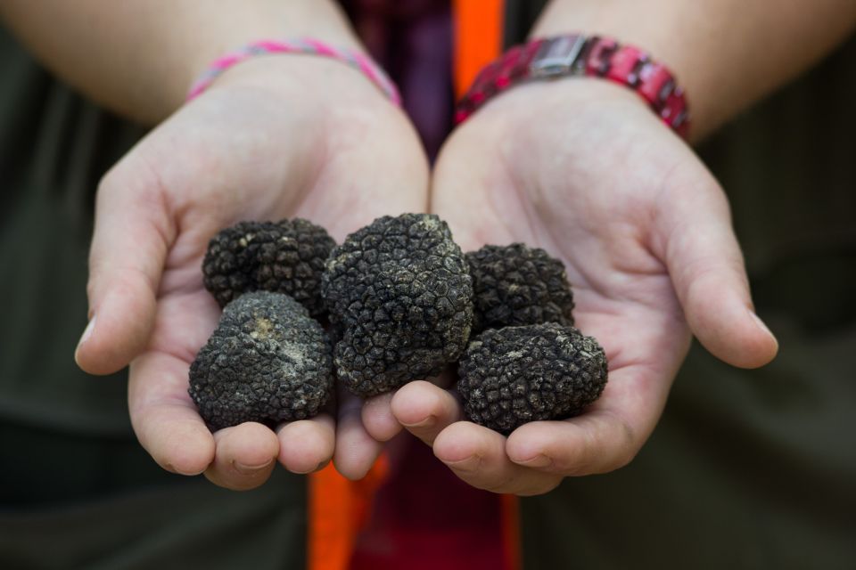 Istria - Truffles: Hunting & Cooking & Tasting, Slovenia - Tasting Truffle Spreads and Malvasia Wine