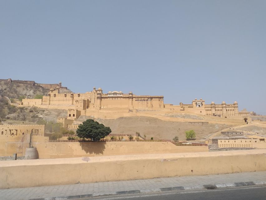 Jaipur Same Day Trip From Delhi by Car - Accessibility and Group Options