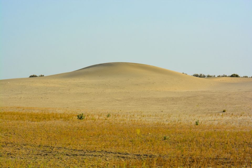 Jaisalmer Private City Tour With Camel Safari in Desert - Booking Info