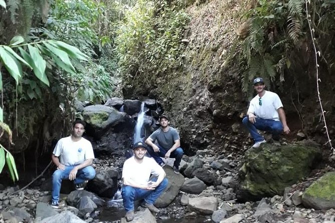 Jardín Coffee Lovers Private Tour With Waterfall Option From Medellín - Tour Itinerary