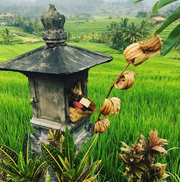 Jatiluwih's Rice Field Terraces: A Scenic Self-Guided Audio - Inclusions Provided